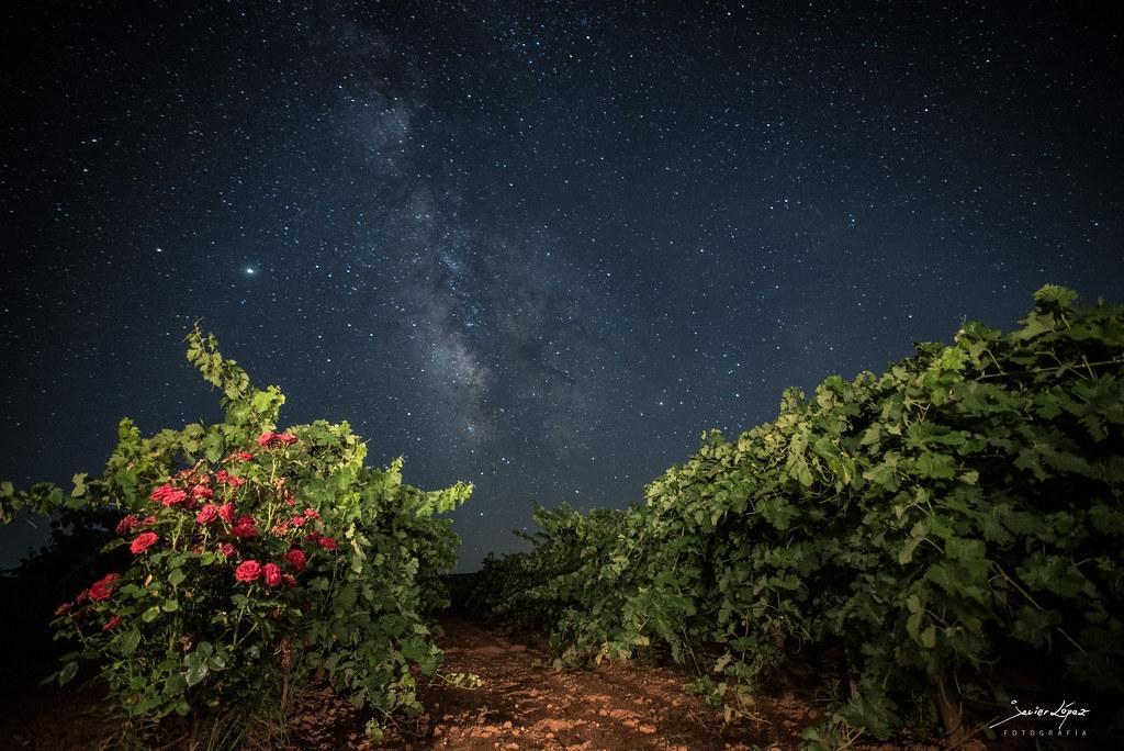 Los 8 mejores lugares de La Mancha para ver las estrellas este verano 5