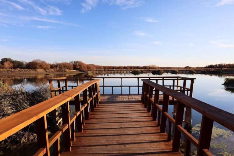 WWF pide acabar con la sobreexplotación y el robo del agua en Las Tablas de Daimiel