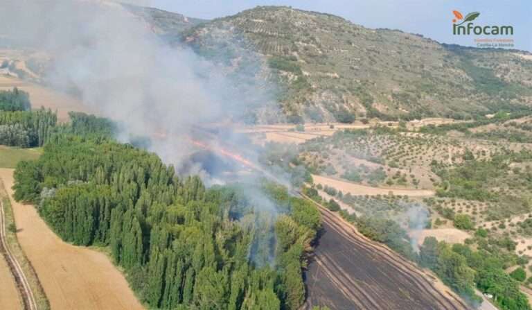 45 efectivos trabajan en la extinción de un incendio declarado en Tomellosa, pedanía de Brihuega