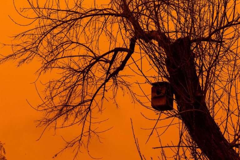 Junta establece un aviso en toda la región por la llegada de una masa de aire sahariano en los próximos días