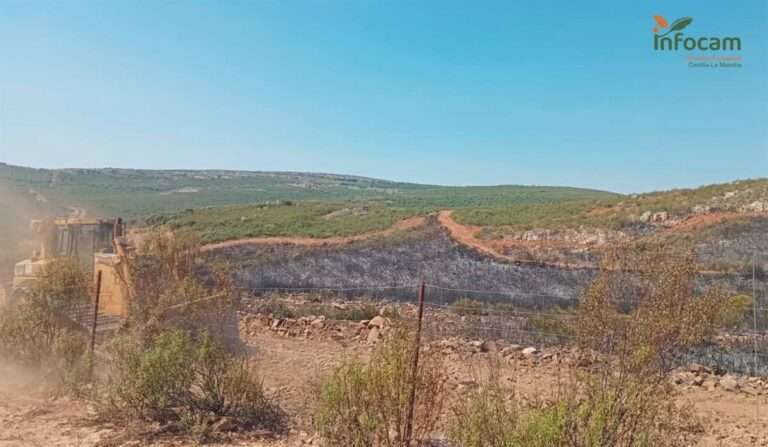 Dan por controlado el incendio de Argamasilla de Calatrava