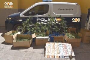 Detenido un clan familiar dedicado al cultivo 'indoor' de marihuana en Puertollano (Ciudad Real)