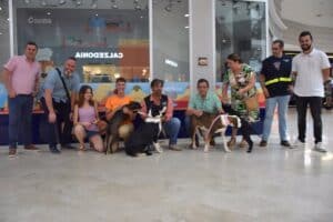 El albergue de animales de Diputación Cuenca realiza 71 adopciones y 7 acogidas temporales en la primera mitad del año