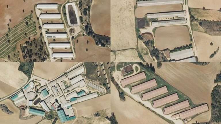 El Supremo ratifica la nulidad de la autorización autonómica a una macrogranja en Huerta de la Obispalía (Cuenca)