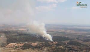 Controlado el incendio forestal declarado en Mesegar de Tajo (Toledo)