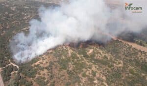 El Infocam activa el nivel 1 en un incendio forestal declarado en Mesegar de Tajo (Toledo)