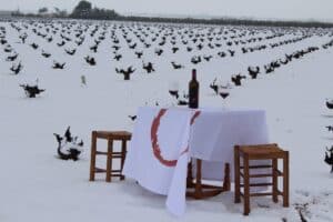 Los vinos DO Mancha buscan la canción que servirá para la próxima felicitación navideña del Consejo Regulador