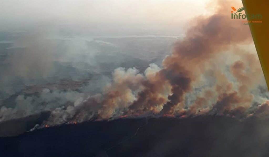 Más de 200 personas trabajan en la extinción del incendio iniciado este martes en Valverdejo (Cuenca)