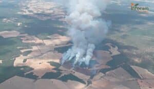 Nueve medios aéreos y 13 terrestres luchan contra un incendio declarado en Valverdejo (Cuenca)