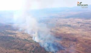 El fuego de La Estrella (Toledo) ha consumido unas 2.500 hectáreas pero su situación "no es mala"