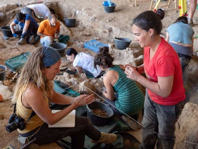 El yacimiento del Abrigo de la Malia de Tamajón muestra este domingo los avances de las últimas excavaciones