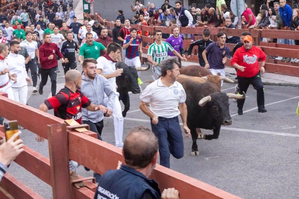 Fallece un hombre de 51 años corneado por un toro durante un evento en Mesones en El Casar (Guadalajara)