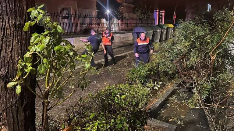 Guadalajara acumula 54 mm de lluvia, cierra la vereda del Henares tras fuerte crecida y atiende más de 30 incidencias