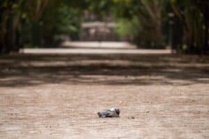 El mes de julio fue muy cálido y seco en C-LM aunque el año hidrológico sigue siendo húmedo