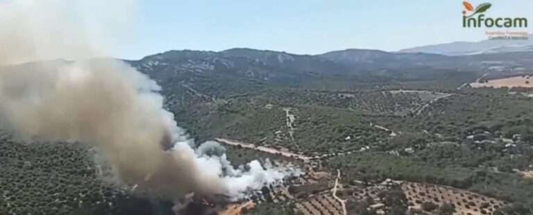 Seis medios y 26 personas trabajan en extinguir un incendio en Viso del Marqués (Ciudad Real)
