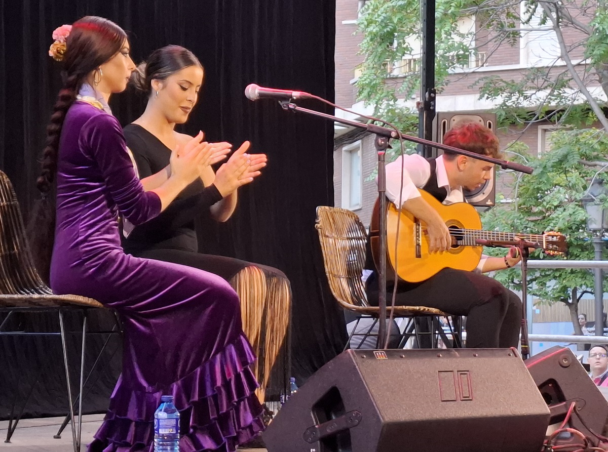 Público del concierto de flamenco