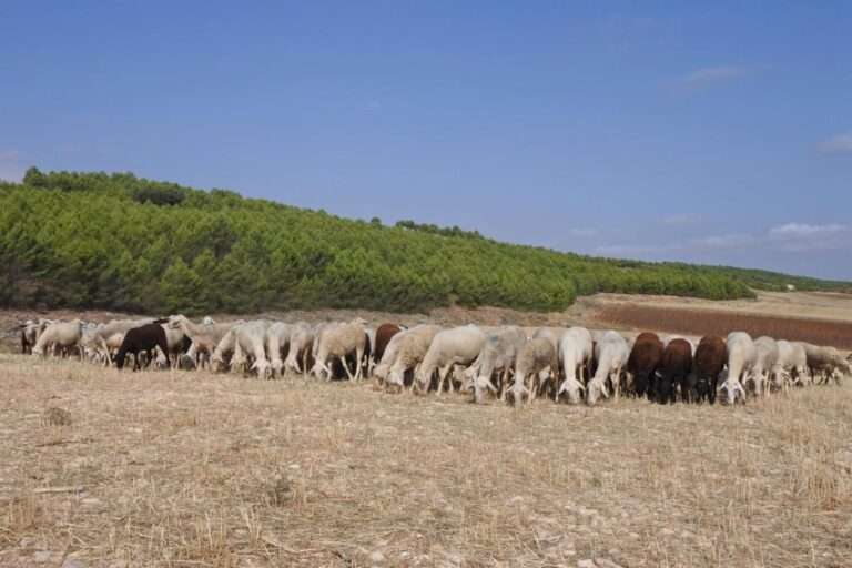 Agricultura y UCLM suman fuerzas para analizar la situación de mujeres rurales de C-LM y acabar con su invisibilización