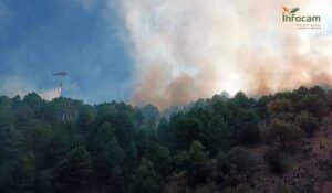 Bomberos dan por controlado el fuego en Cortijo de Tortas y 13 medios y 59 personas trabajan en la zona