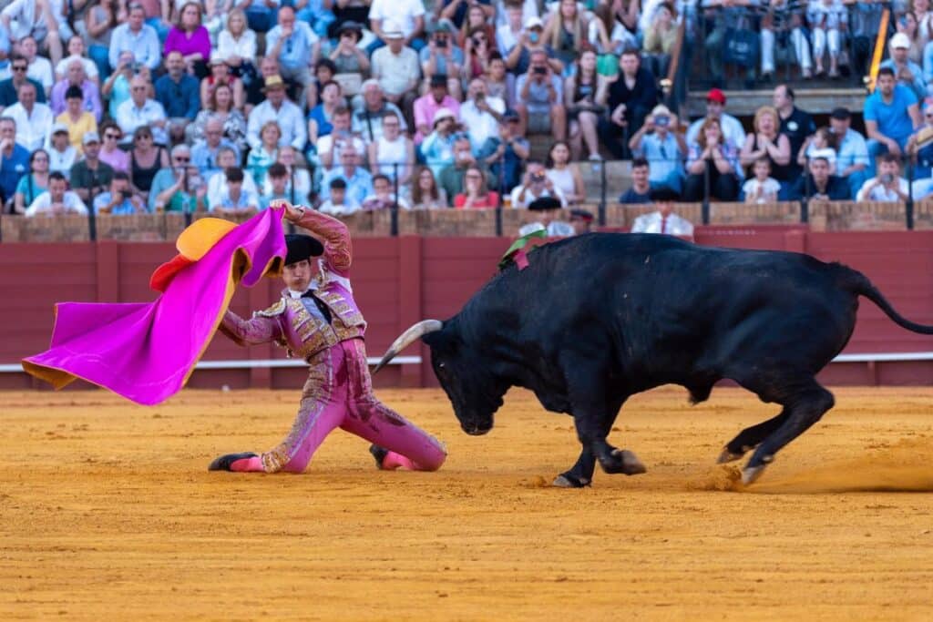 CLM mantiene su intención de crear un galardón taurino, tras oficializar el BOE la supresión del Premio de Tauromaquía