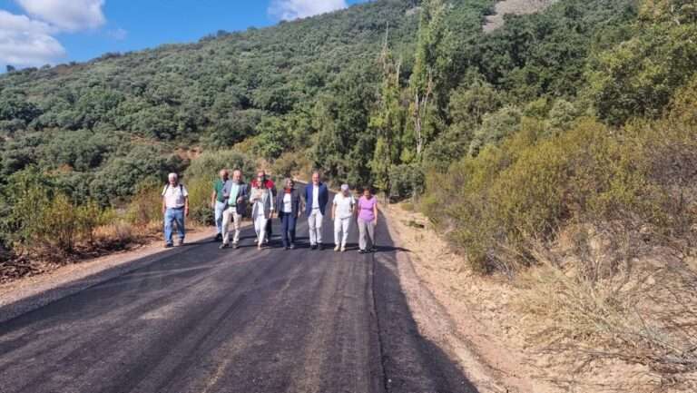 Gobierno C-LM invierte 14 millones de euros en la mejora de 700 kilómetros de 100 caminos forestales en la región