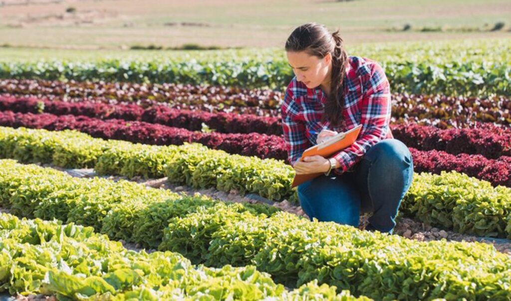 Hasta 442 profesionales agrarios de C-LM se reparten 3 millones de ayuda básica a la renta para la sostenibilidad de PAC