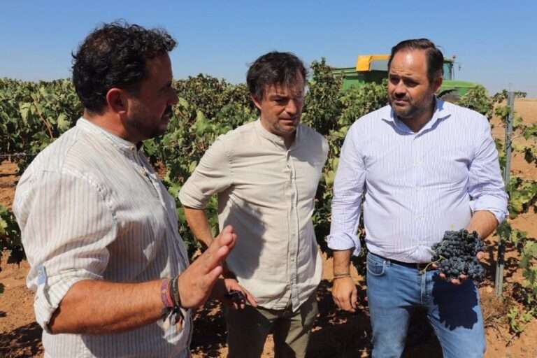 Núñez reclama a la Junta una estrategia para el sector vitivinícola "para garantizar su rentabilidad y viabilidad"