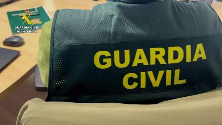 Detenido en Vizcaya por fraude inverso de Bizum en compraventa de vehículos, con estafados en Ciudad Real