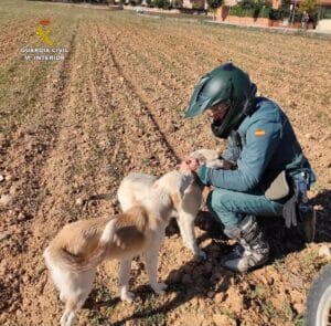 Detenido un maltratador reincidente por apalear hasta la muerte a un perro que atrapó en un lazo en Romancos