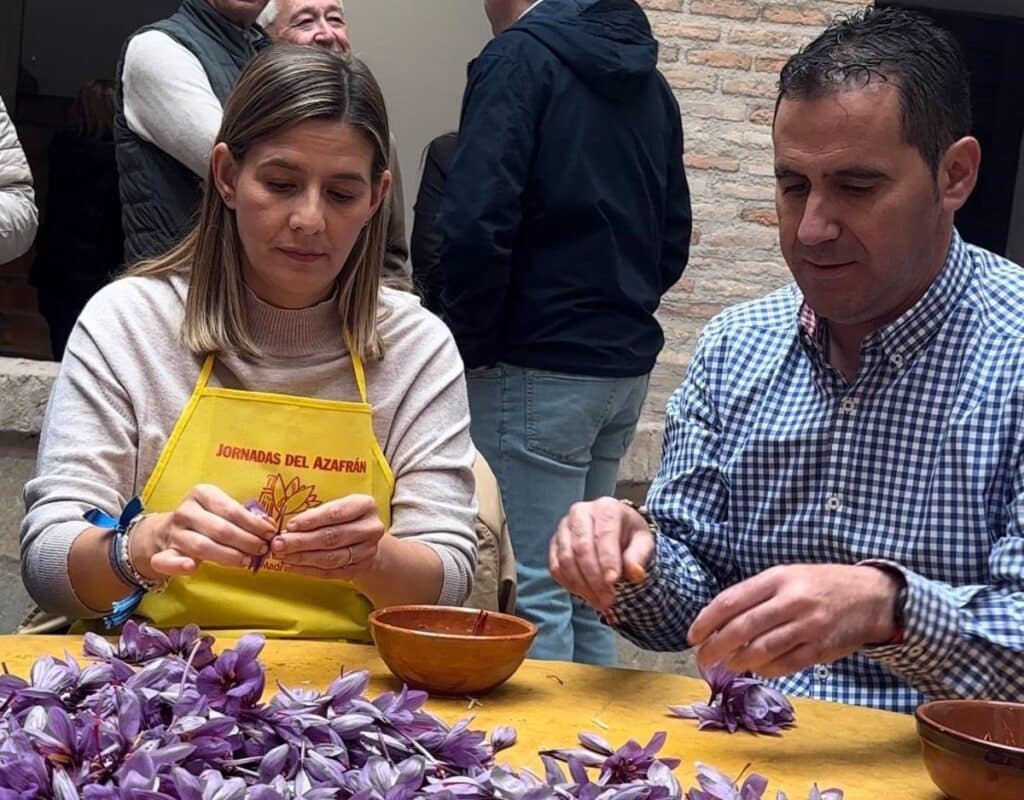 PP presentará una iniciativa parlamentaria en defensa del azafrán de la Mancha, "en riesgo de desaparición"