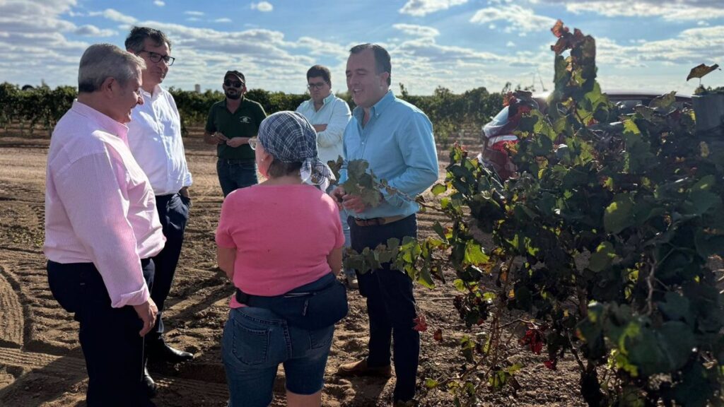 Vox CLM exige garantizar precios "justos" para "acabar" con las pérdidas de los agricultores vitivinícolas