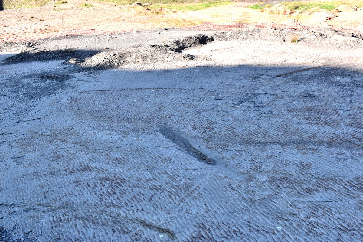 Descubrimiento de las Antiguas Olas de Puertollano en las Excavaciones del Geoparque ‘Volcanes de Calatrava’ 1