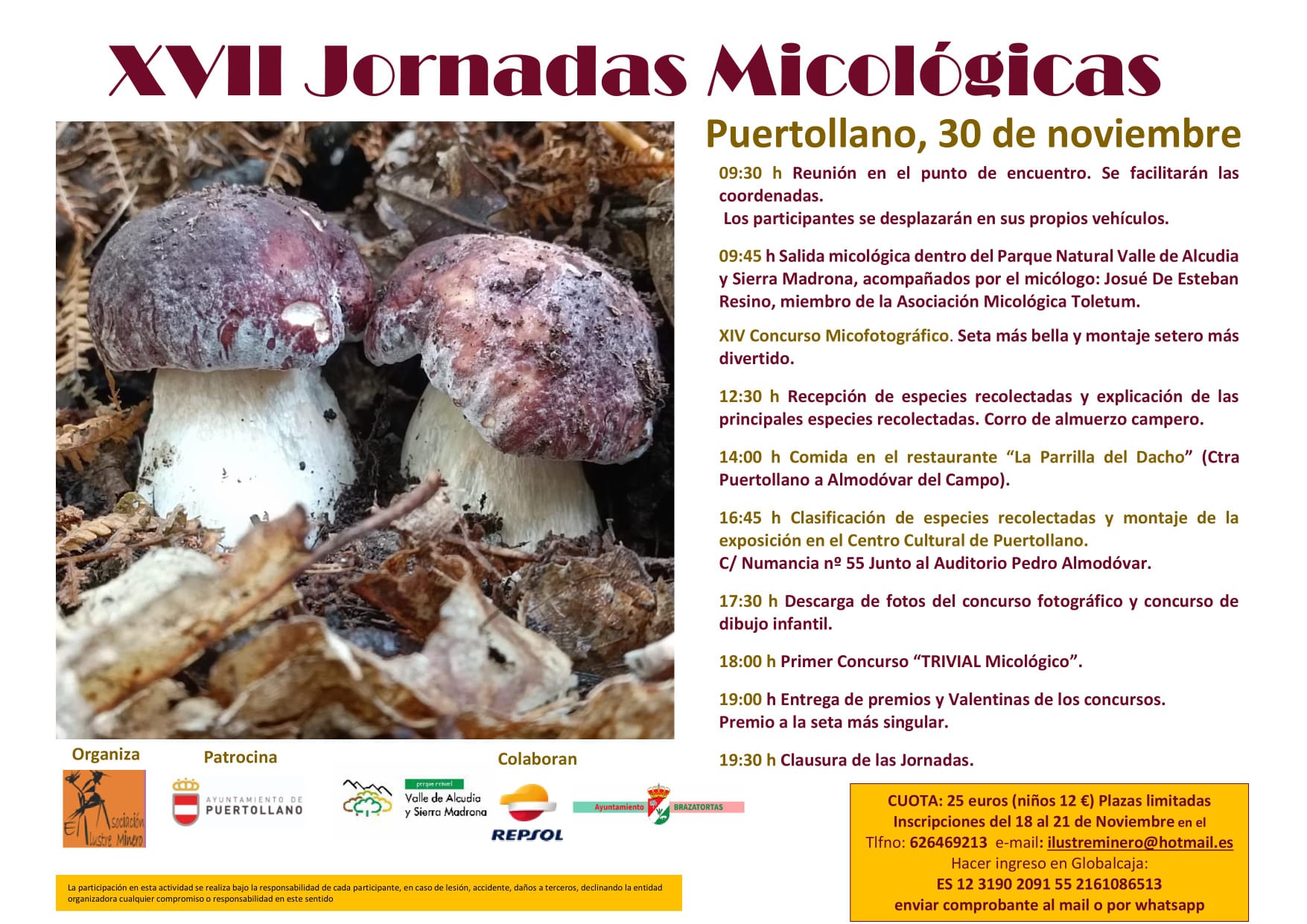 Explorando y Capturando la Belleza Natural: XVII Jornadas Micológicas en el Valle de Alcudia - Concurso Fotográfico y Exposición de Especies Recolectadas 1