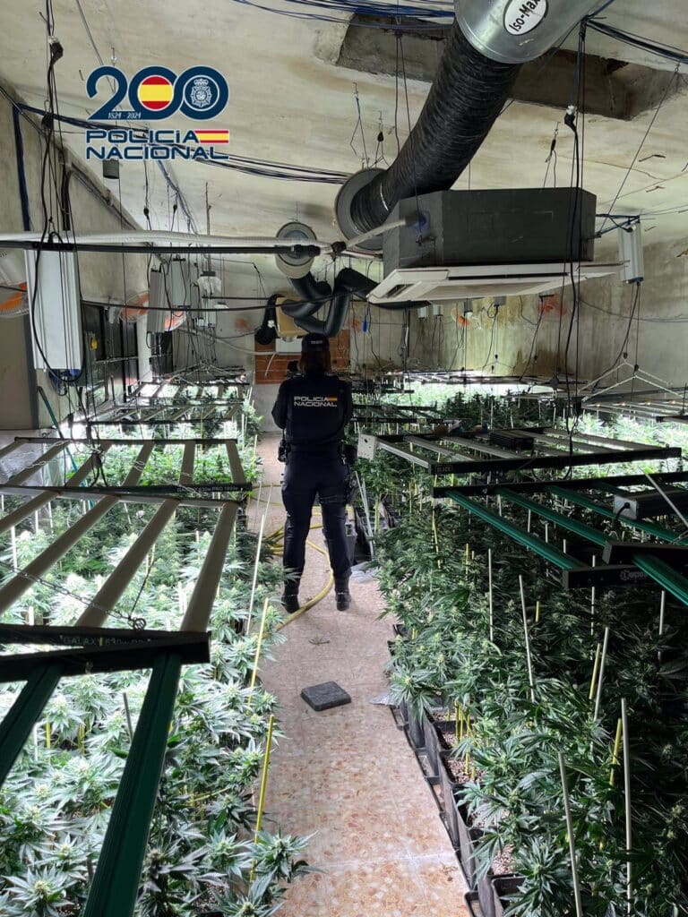 Desmantealado un centro de cultivo de marihuana en una nave industrial de Sonseca (Toledo)