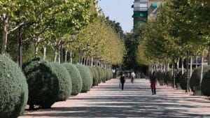 Un detenido por la agresión con arma blanca a un joven en el parque Gasset de Ciudad Real