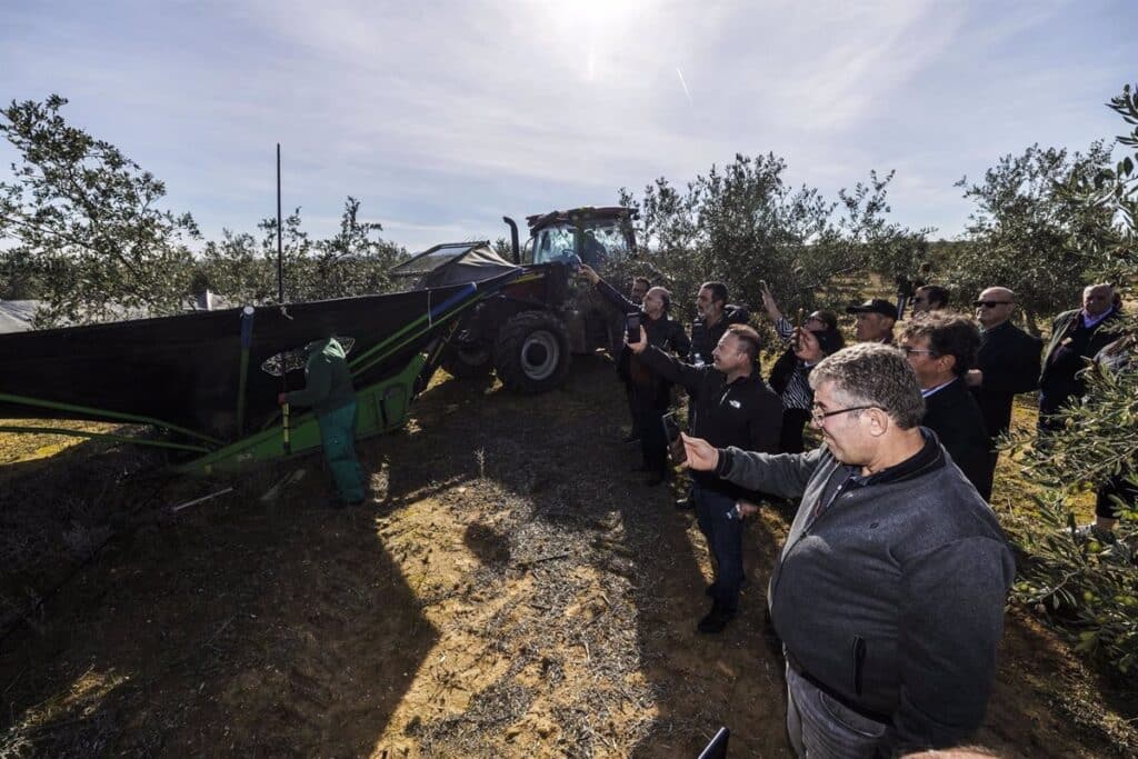 Interprofesional de Aceite de Oliva aboga por evitar trabas en la comercialización del producto con Estados Unidos