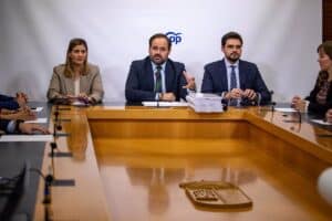 Núñez (PP) avanza que su grupo parlamentario ha presentado un total de 976 enmiendas al presupuesto de C-LM