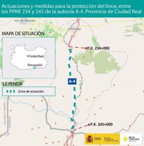 Transportes licita por 1,25 millones las obras de la A-4 entre Almuradiel y Despeñaperros para proteger el lince ibérico