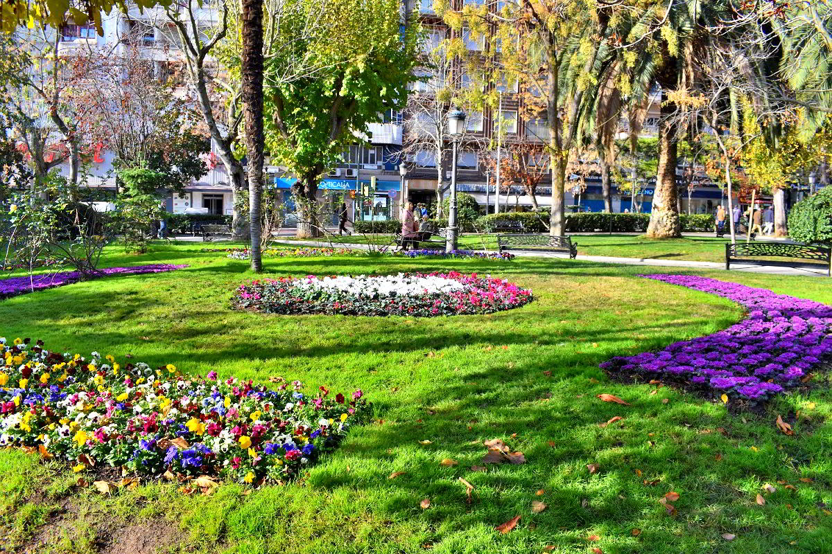 La Primavera Florece en Puertollano: Trece Mil Plantas Adornan las Fiestas Navideñas 1