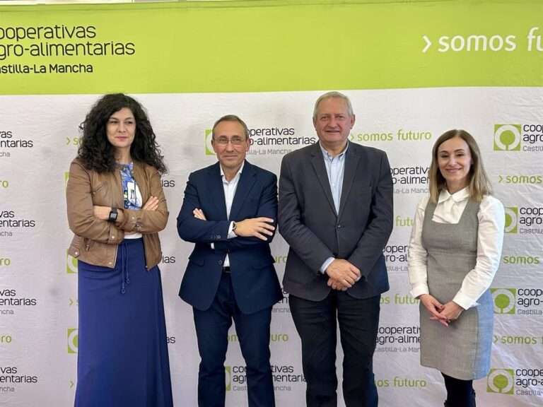 Cooperativas C-LM cierra un 2024 "intenso" y espera comenzar 2025 con una campaña de aceituna con precios "razonables"