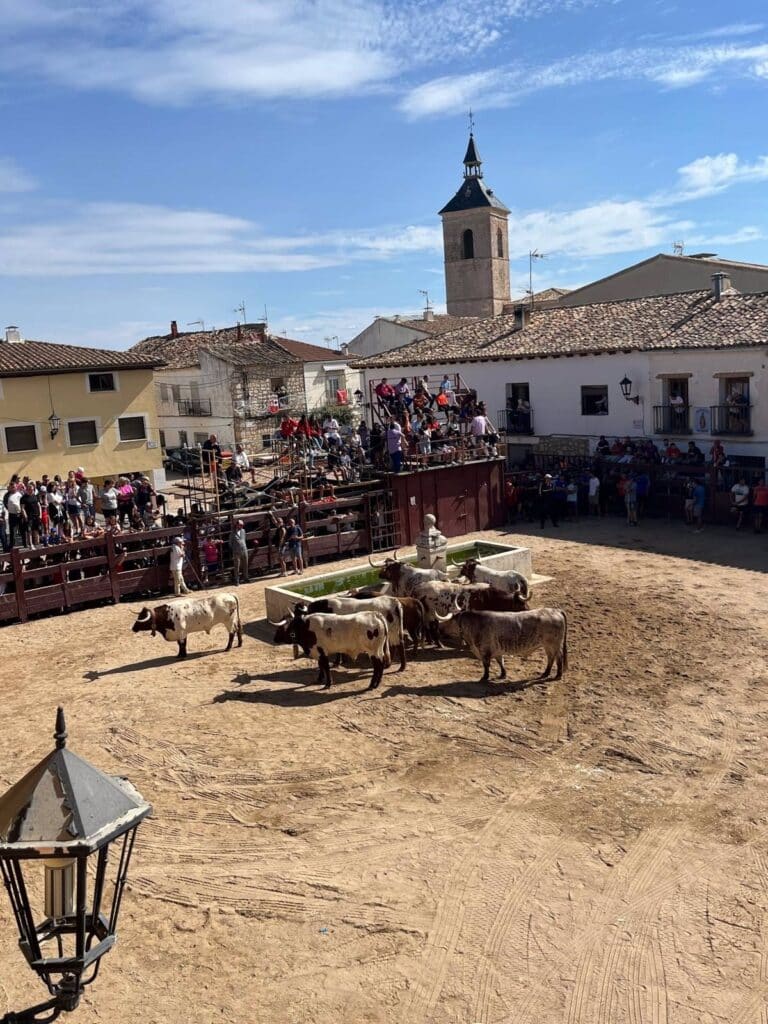 Fuentelencina, un pequeño pueblo con cuatro plazas de toros y gran afición taurina