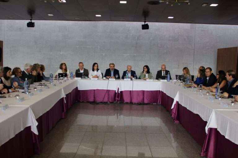 Junta fija la consolidación e innovación del sistema como objetivo de 2025 en una reunión con gerencias sanitarias