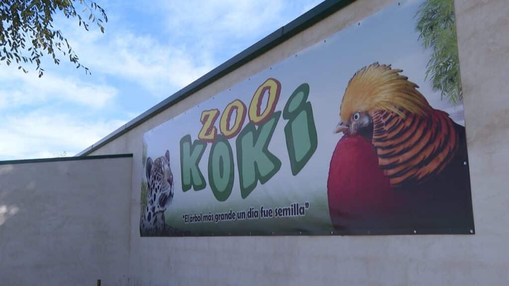 Koki, un zoo toledano "con alma" e inclusivo nacido de la iniciativa privada donde habitan 150 especies de animales