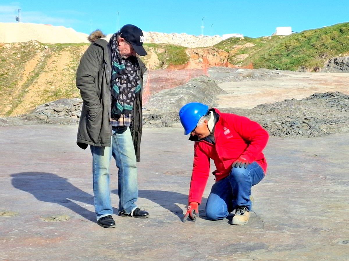 Revelando la Biodiversidad del Carbonífero: Excavaciones en el Monumento Natural Arrojan Luz sobre la Vida de hace 300 Millones de Años 1