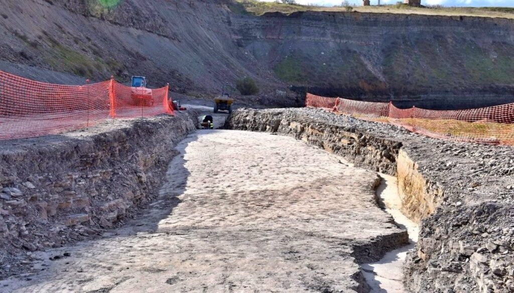 Las excavaciones en el Carbonífero de Puertollano descubren arañas, escorpiones y peces de hace 300 millones de años