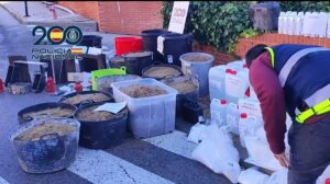 Desmantelado un laboratorio clandestino que distribuía cocaína impregnada en cajas de cartón