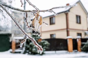 Consejos para proteger la vivienda del frío y las tormentas, según Allianz Partners