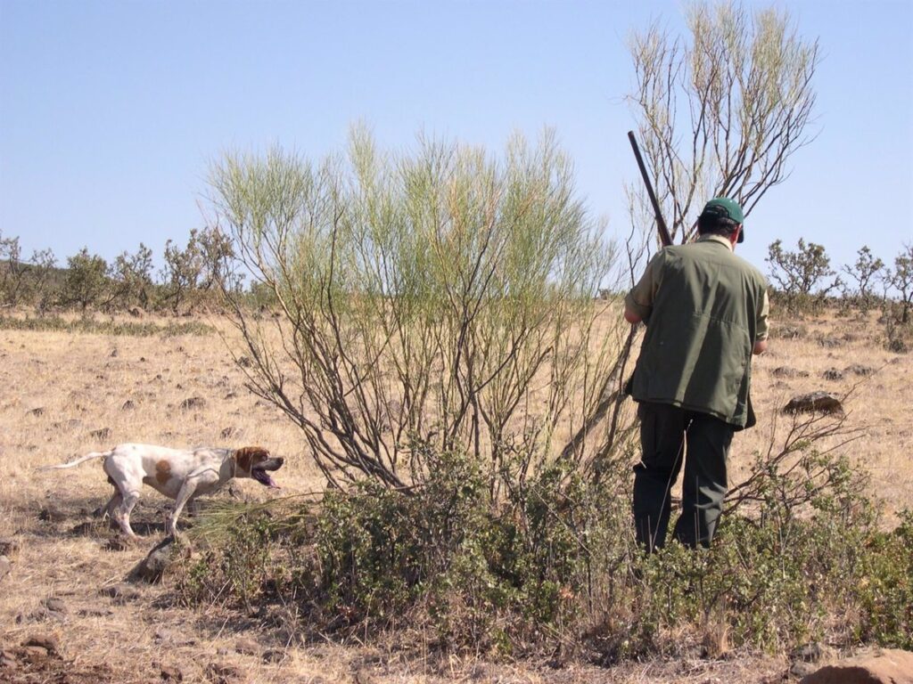 Junta abre el plazo para participar en el sorteo de permisos de caza en los 9 'cotos sociales' de C-LM