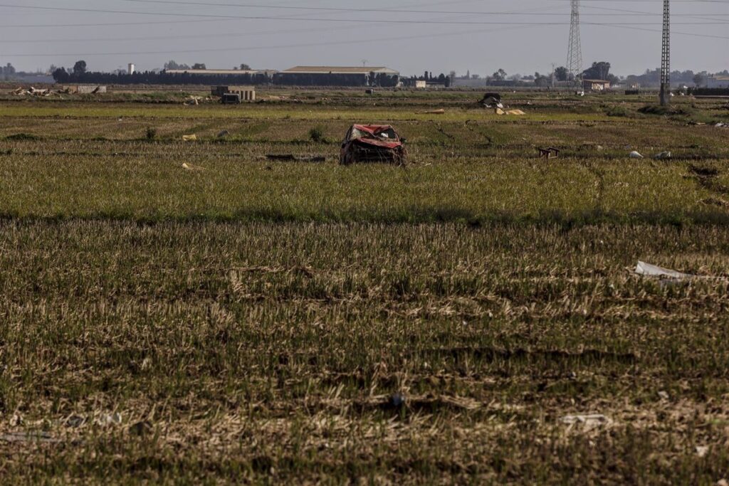 Se abre el plazo para pedir las ayudas por 53,1 millones para explotaciones agrarias afectadas por la DANA