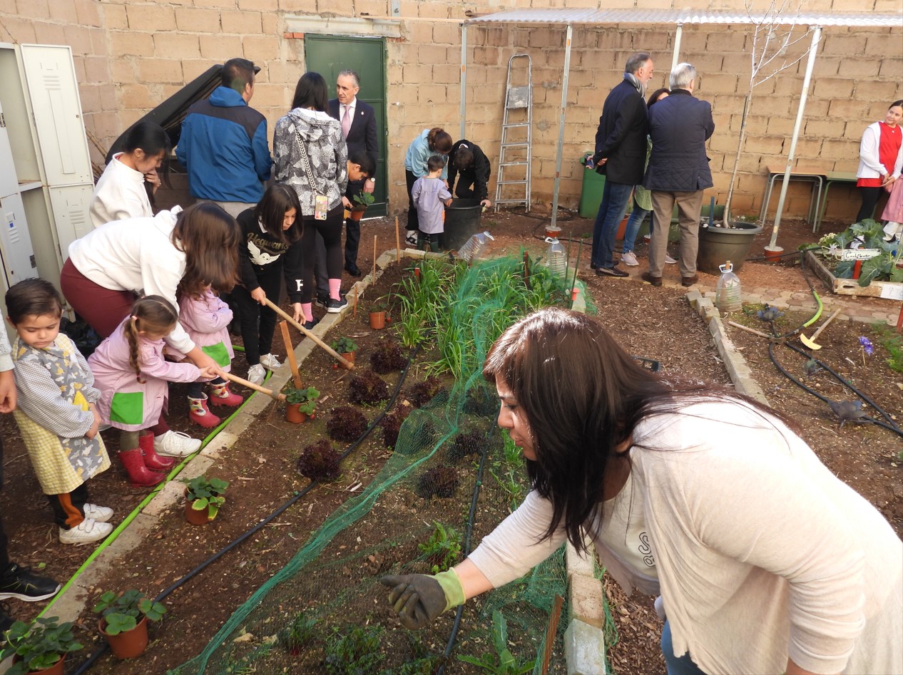 Actividades del Colegio Tierno Galván