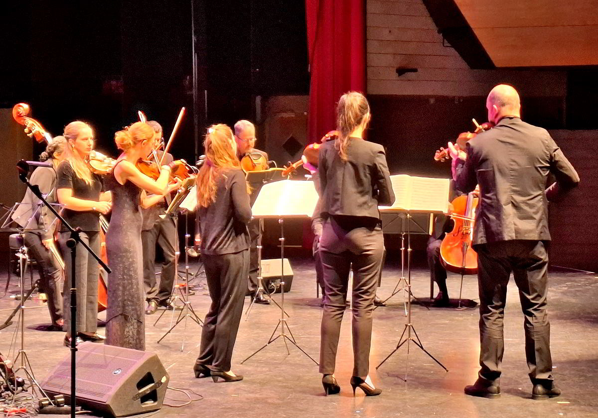 Encuentro sinfónico: La Orquesta de Cámara de Toulouse y Carlos Vizcaíno deslumbran con clásicos de pop inglés 8